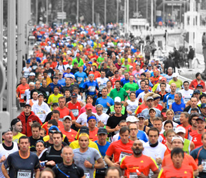 Marathon des Alpes-maritimes<br>november 2022